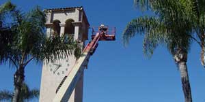 Bee Removal Tustin CA Difficult bee removal using a 
      manlift.