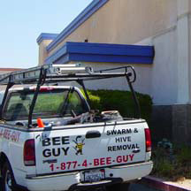 Garden Grove Bee Removal Guys Service Truck