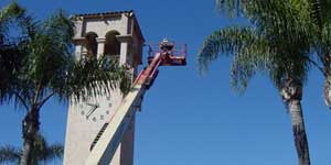 Bee Removal Orange CA Difficult bee removal using a 
      manlift.